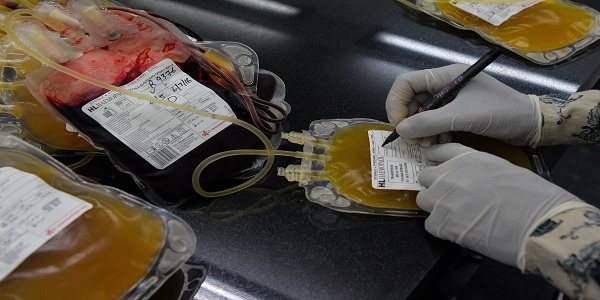 An Indian medical assistant arranges packs of donated blood at a blood transfusion clinic in New Delhi on June 1, 2016. More than 2,000 Indians contracted HIV over a 17-month period after receiving blood transfusions, data from the national AIDS body showed June 1. / AFP / afp AND AFP / Chandan KHANNA (Photo credit should read CHANDAN KHANNA/AFP/Getty Images)